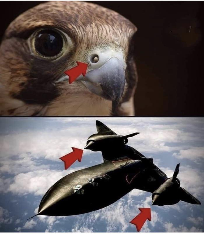 Whispers tweet media