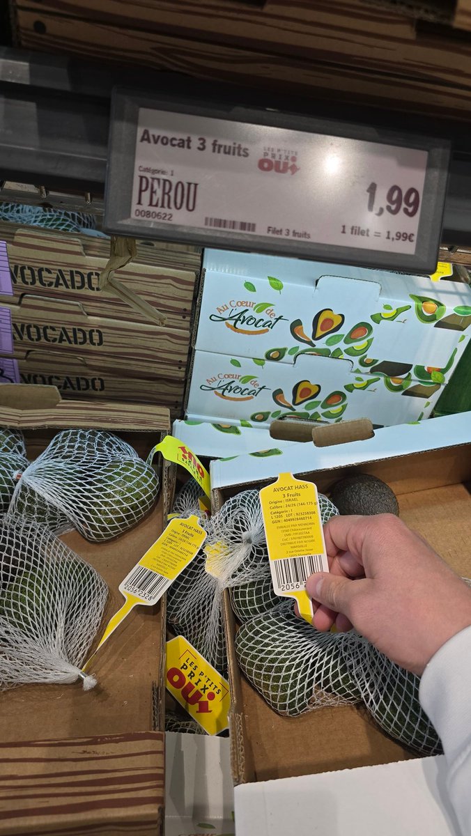 🇩🇿 🇵🇸 Roronoa Ironside tweet media