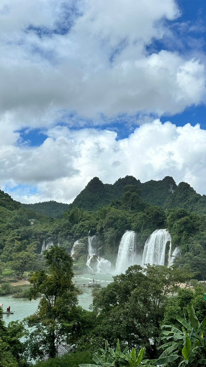 Kaitlyn Powell tweet media