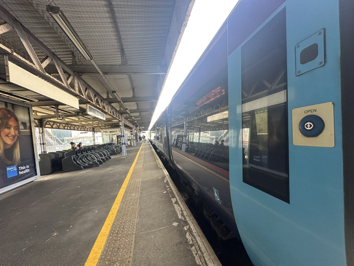 Conductor Collins (Nat) tweet media