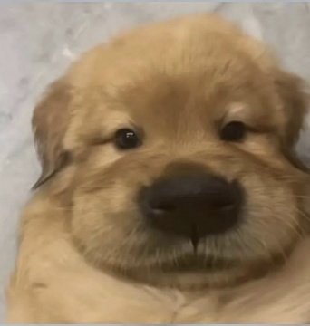 OrangeSeven tweet media