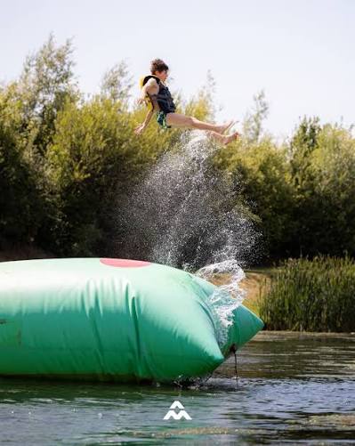 Phat Cow tweet media