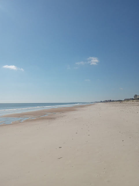 Jack Chambers tweet media