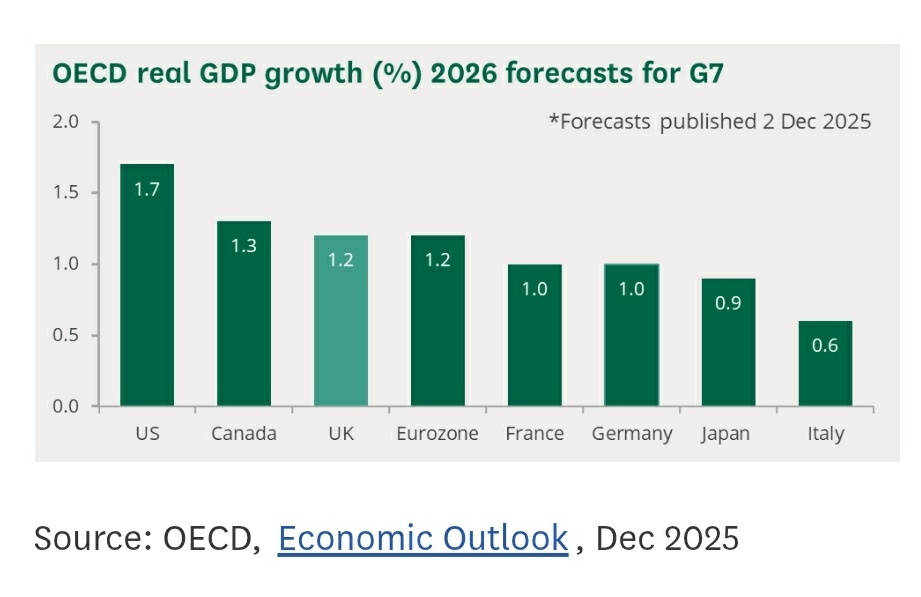 The Democracy Movement tweet media