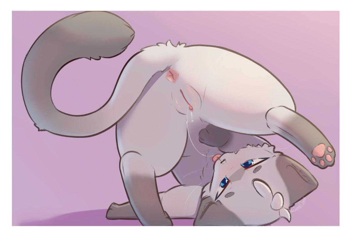 TheLoneArch tweet media