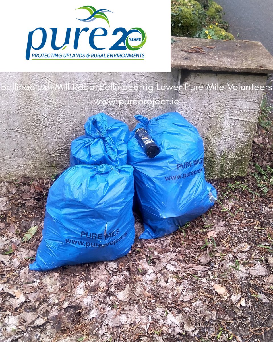 Pure Project tweet media
