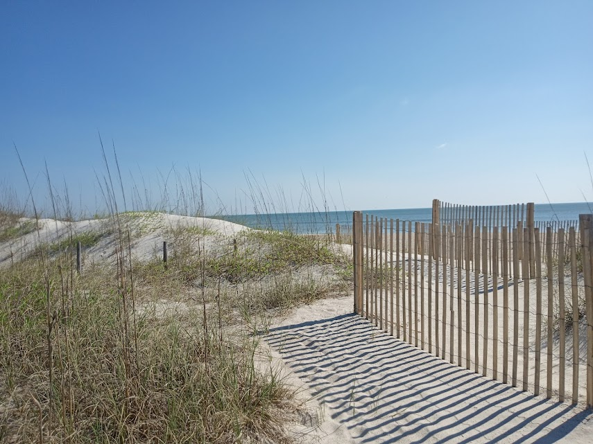 Jack Chambers tweet media