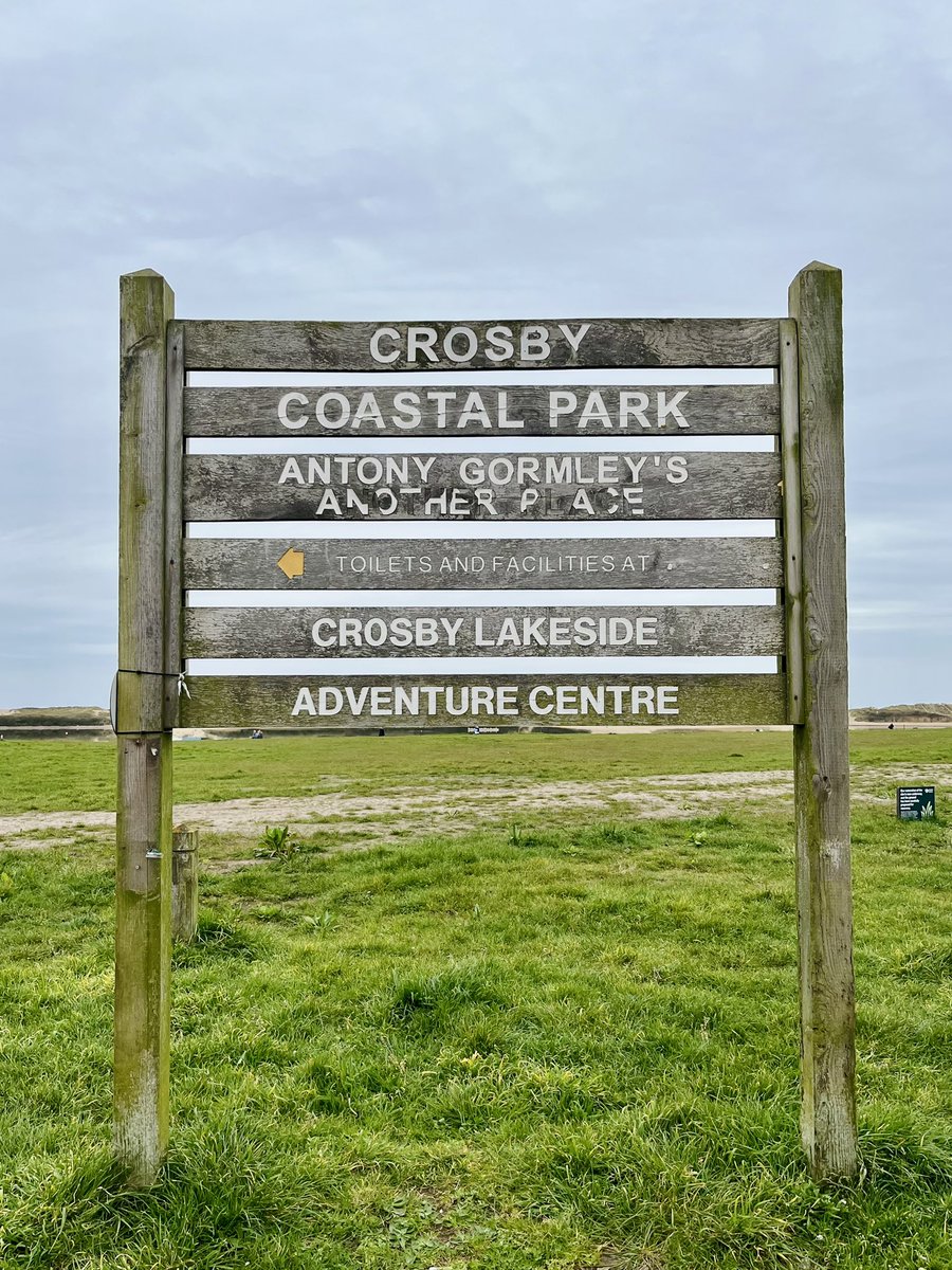 Polly ❤️ tweet media