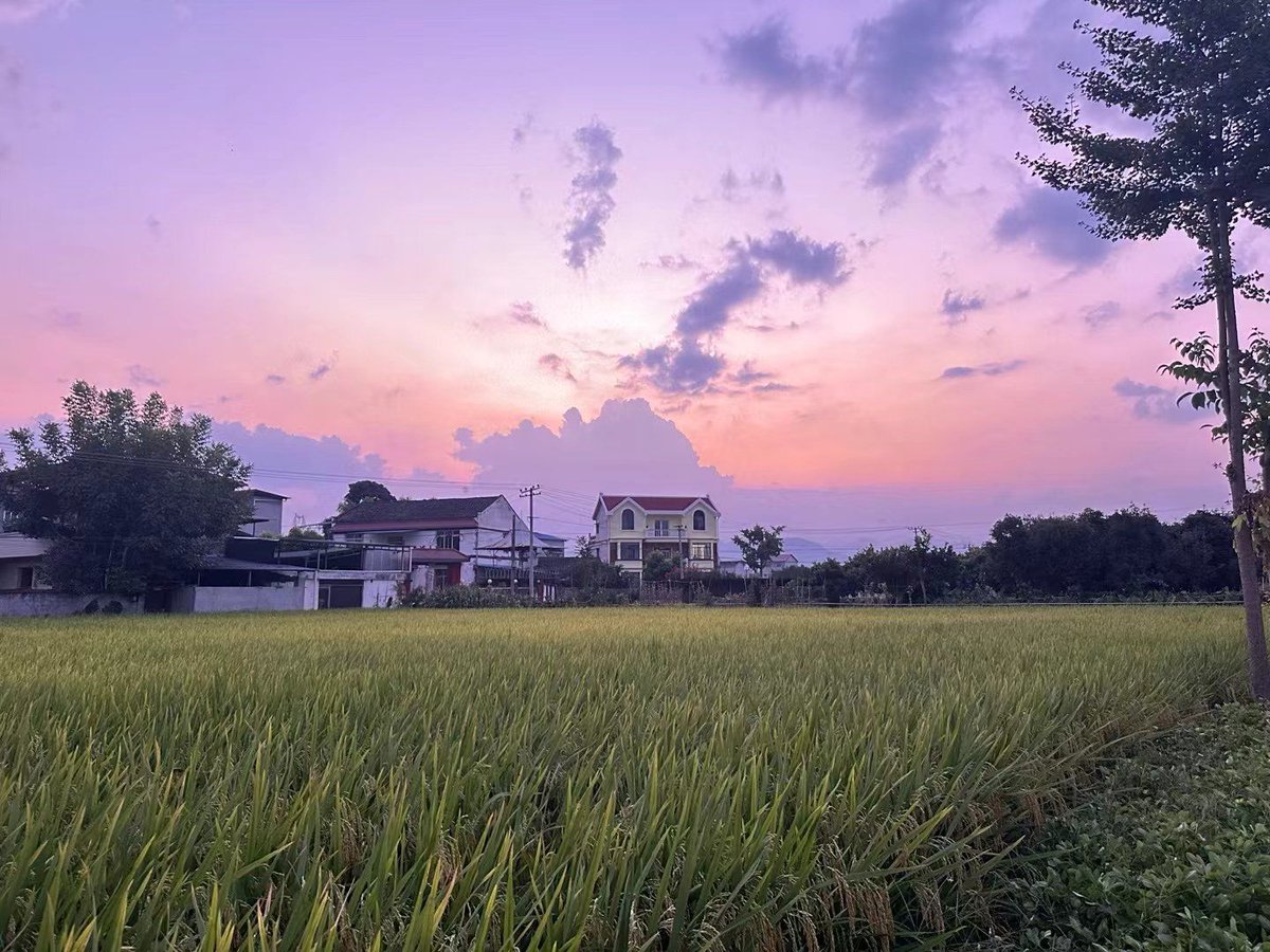 martin becerra tweet media