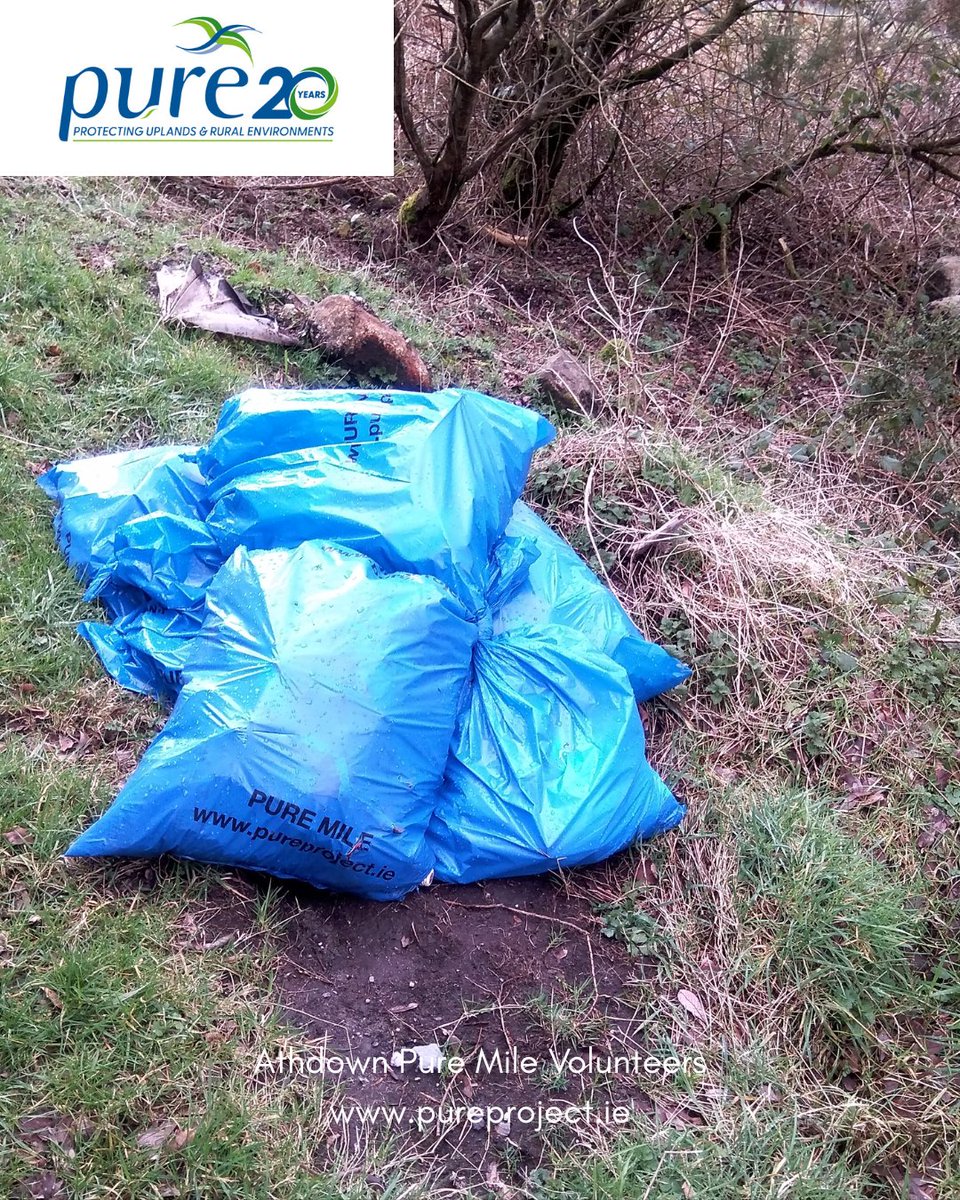 Pure Project tweet media