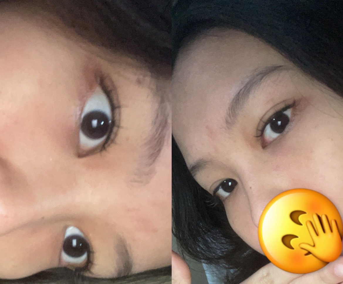 honeybee tweet media