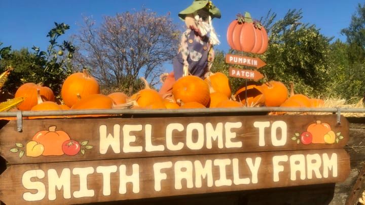 Come and experience the wonderful Smith family farm with us. smartselfstorage.com/self-storage/c…