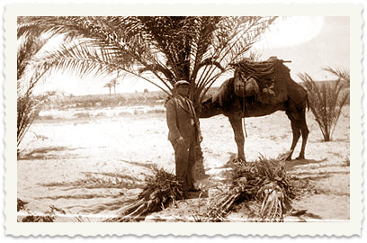 Neriya Fisch tweet media