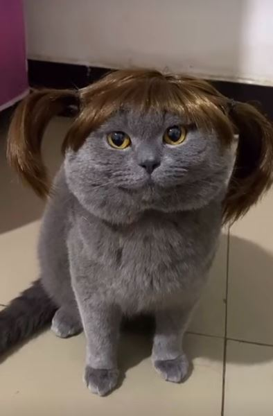 Soggy Bot tweet media