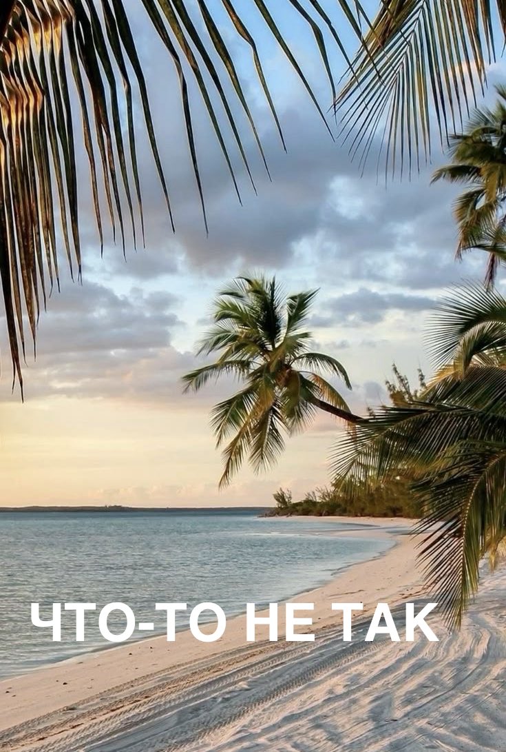 ИДИ НАХУЙ 2.0 tweet media