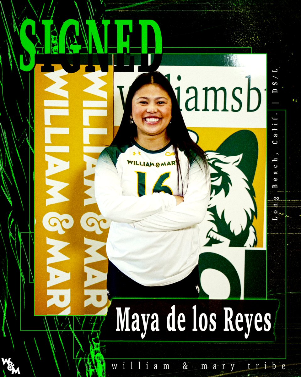 William & Mary Tribe Volleyball tweet media