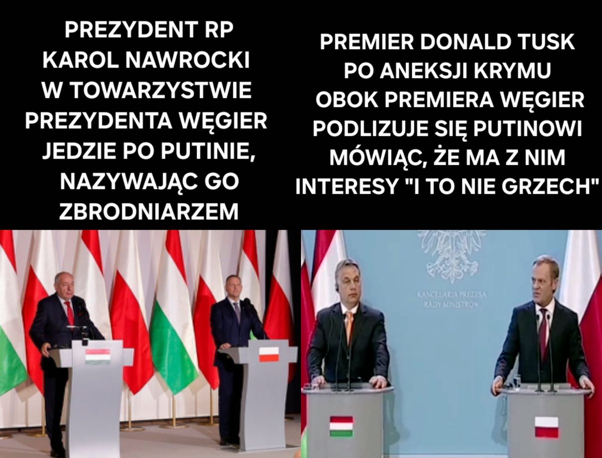 Emilia Kamińska tweet media