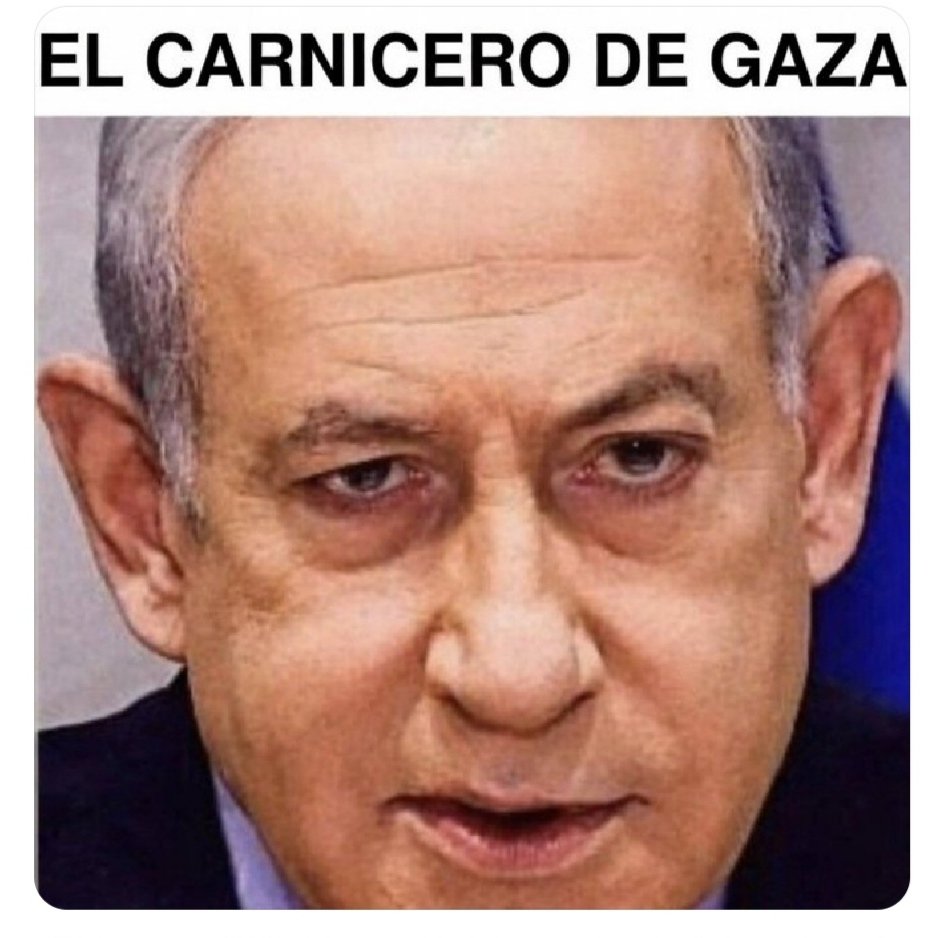 luis PLMel tweet media