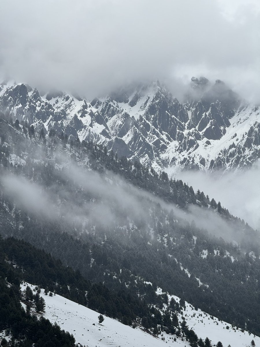 Aftab^ྀི tweet media