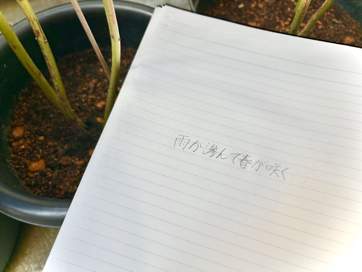 chuo_anaken's tweet photo. 【春番まであと５日】

新2年RD『雨が滲んで春が咲く』

🌸企画者からのコメント🌸

癒すように雨を降らせて
彩るように優しさを咲かす
そんなお話

#Marhaban_with_Blooming https://t.co/RTnnx64Lt6