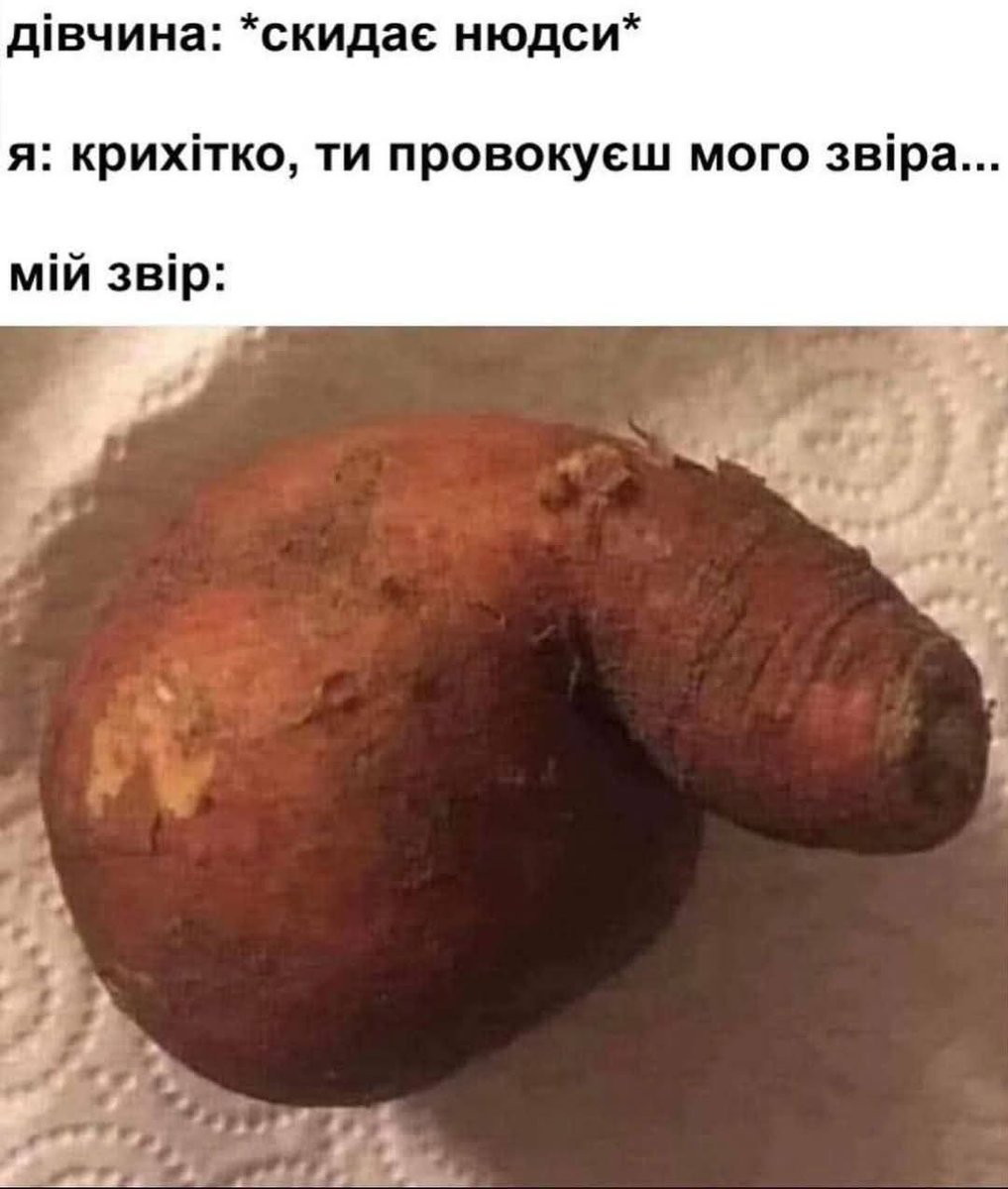 Гена Гена tweet media