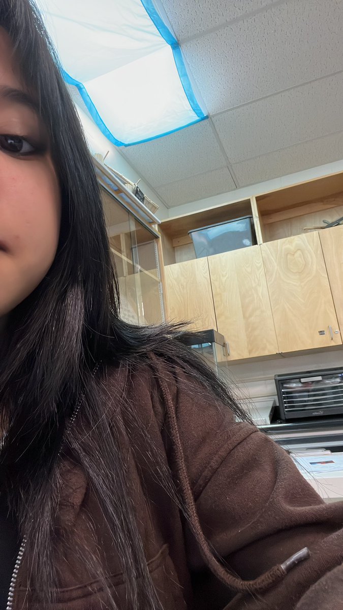 Freyah .ᐟ.ᐟ tweet media