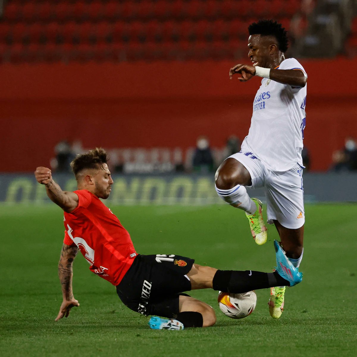 Yulis Llorente Ⓜ️ tweet media