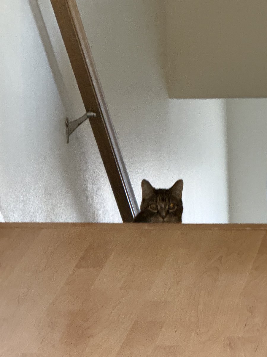 Ethan 🦣 tweet media