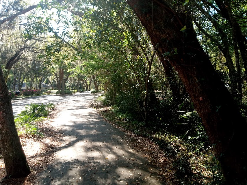 Jack Chambers tweet media