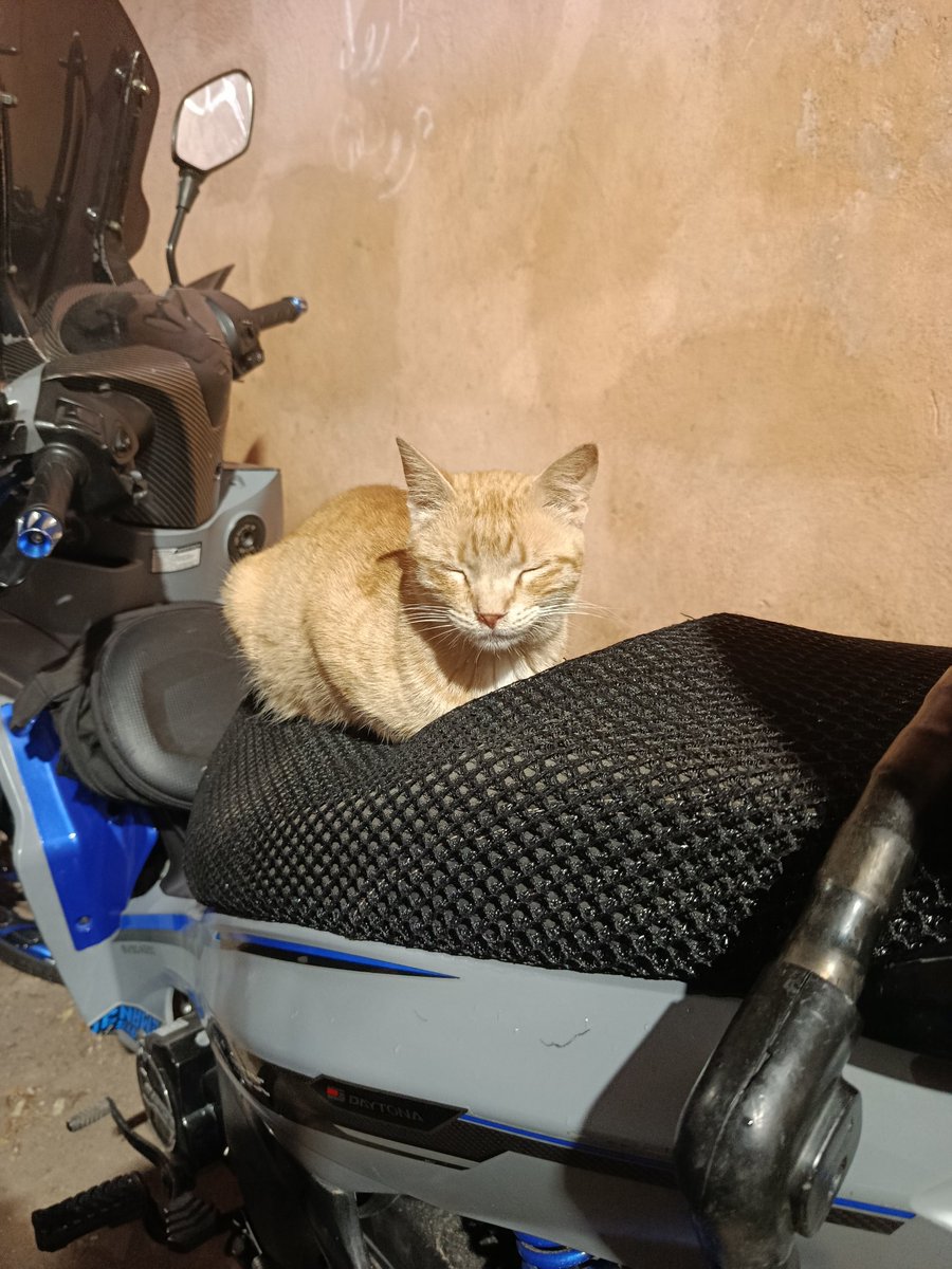 squizi_prout (⁠☞⁠^⁠o⁠^⁠)⁠ ⁠☞🎹 tweet media