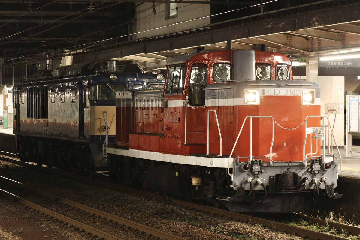 ます鉄 tweet media