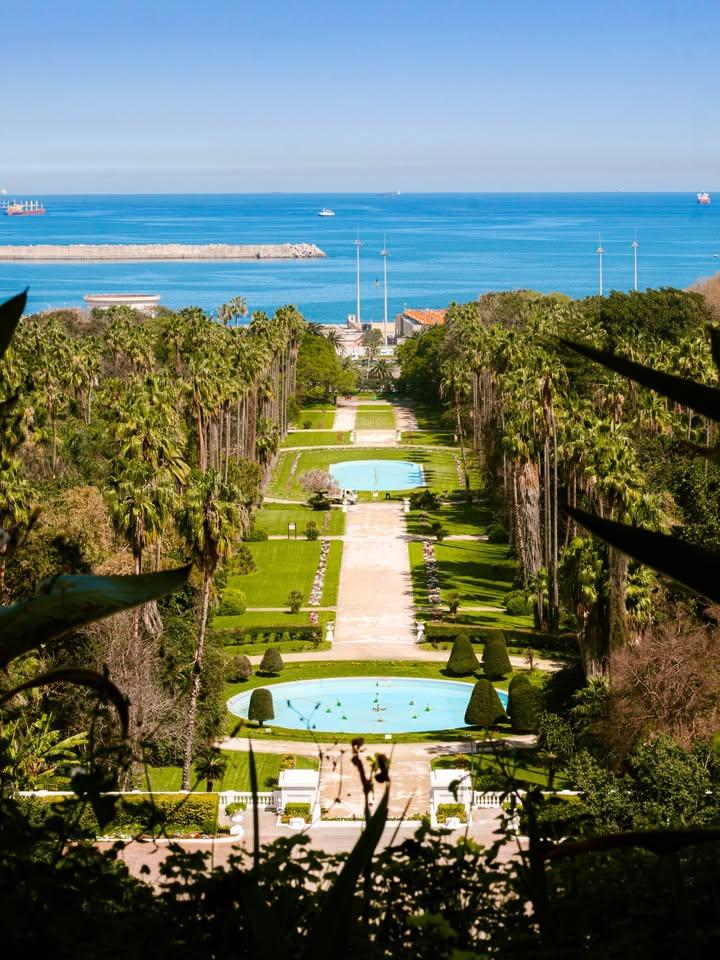 ℓιdуα tweet media