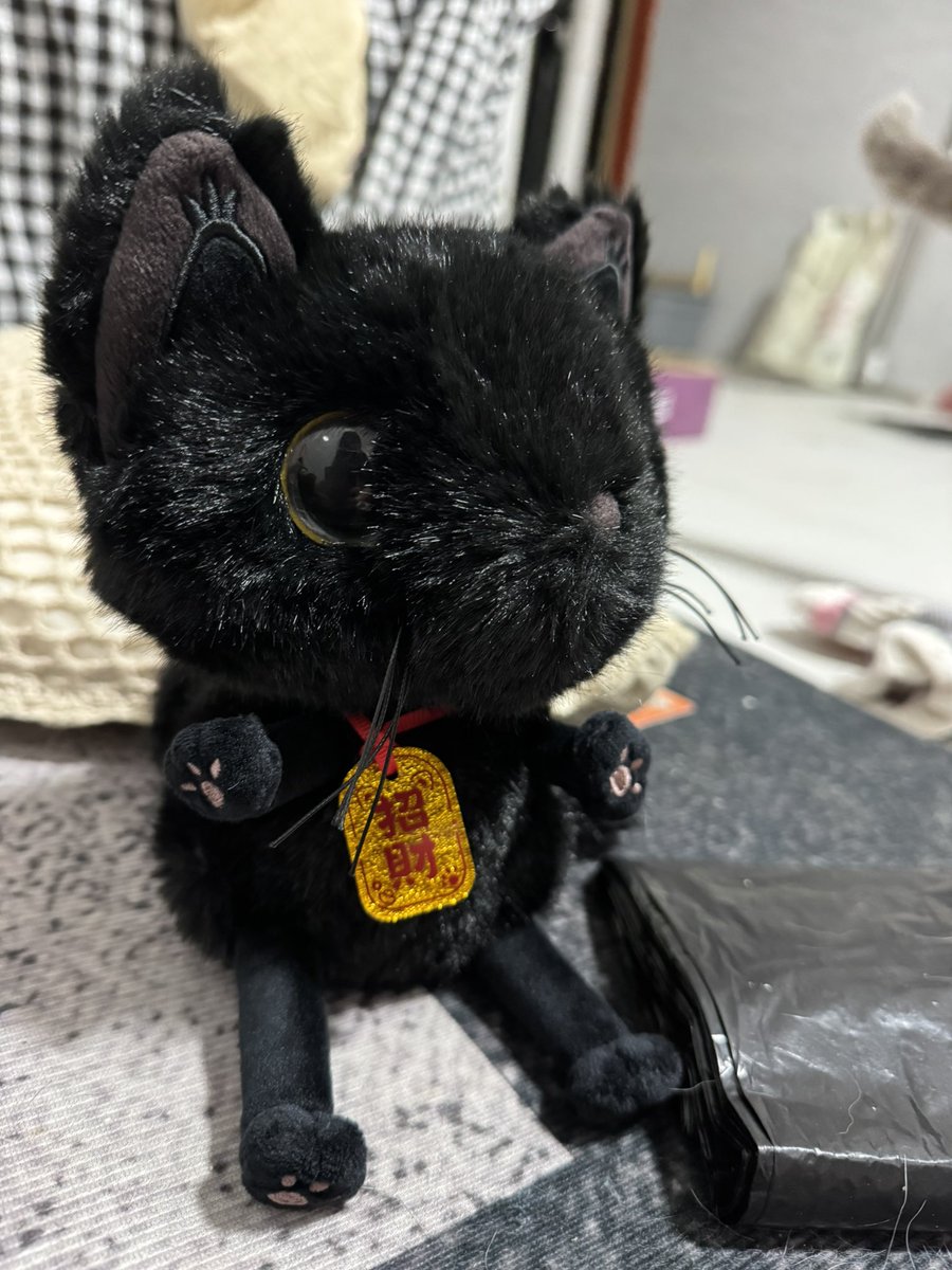 ꒰ა 毒苹果猫大王 ໒꒱ tweet media