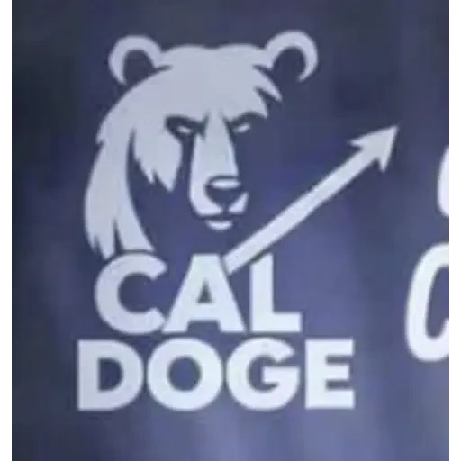 $CALDOGE
9qvPxmaQiF8N77fz8ViTKcipkVJ9RP8XdrpZ675Cpump