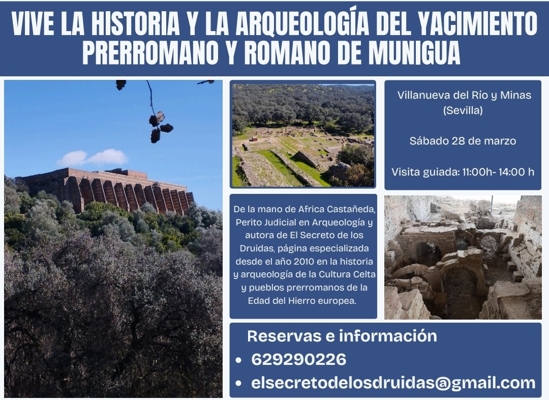 El secreto de los druidas 🌳(Africa Castañeda)® tweet media