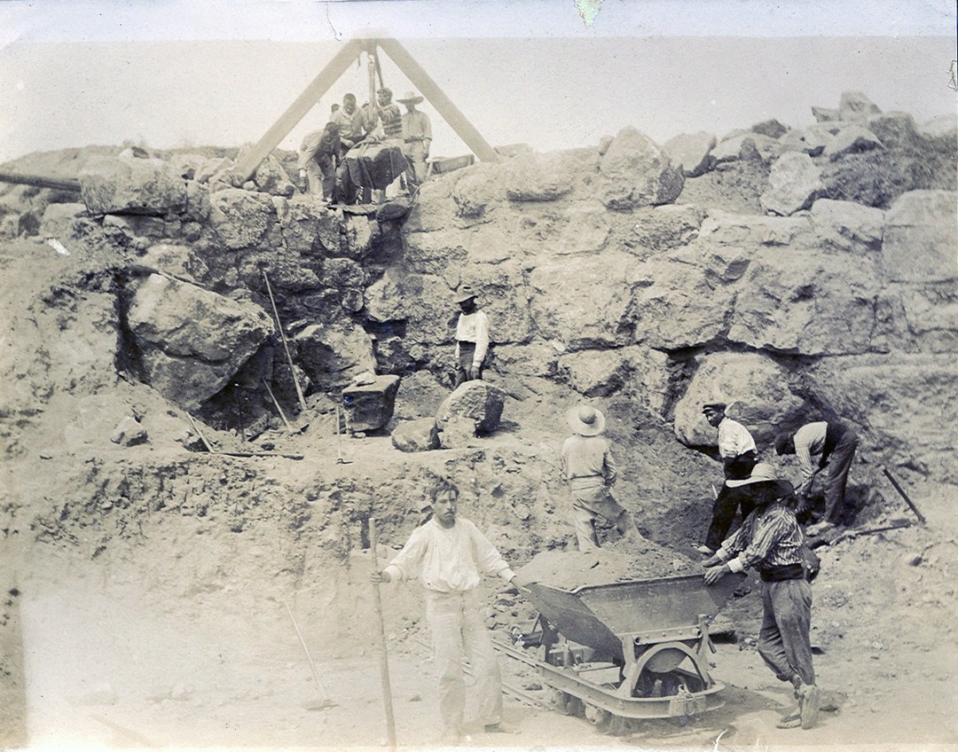 Museu d'Arqueologia de Catalunya tweet media