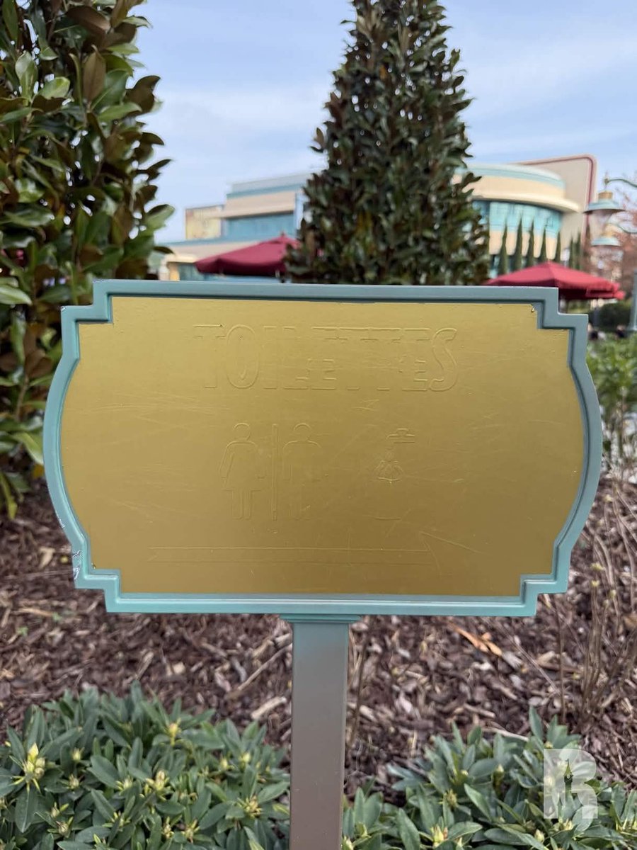 DLP Report tweet media