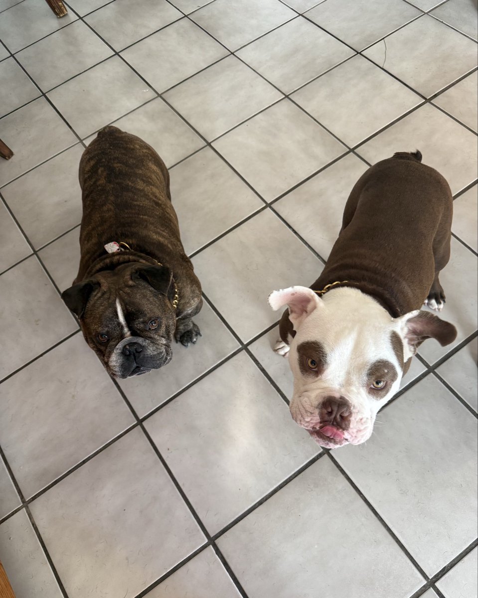 Rosemarie Lane 🇺🇸🏴‍☠️🏝🎣🐶 tweet media