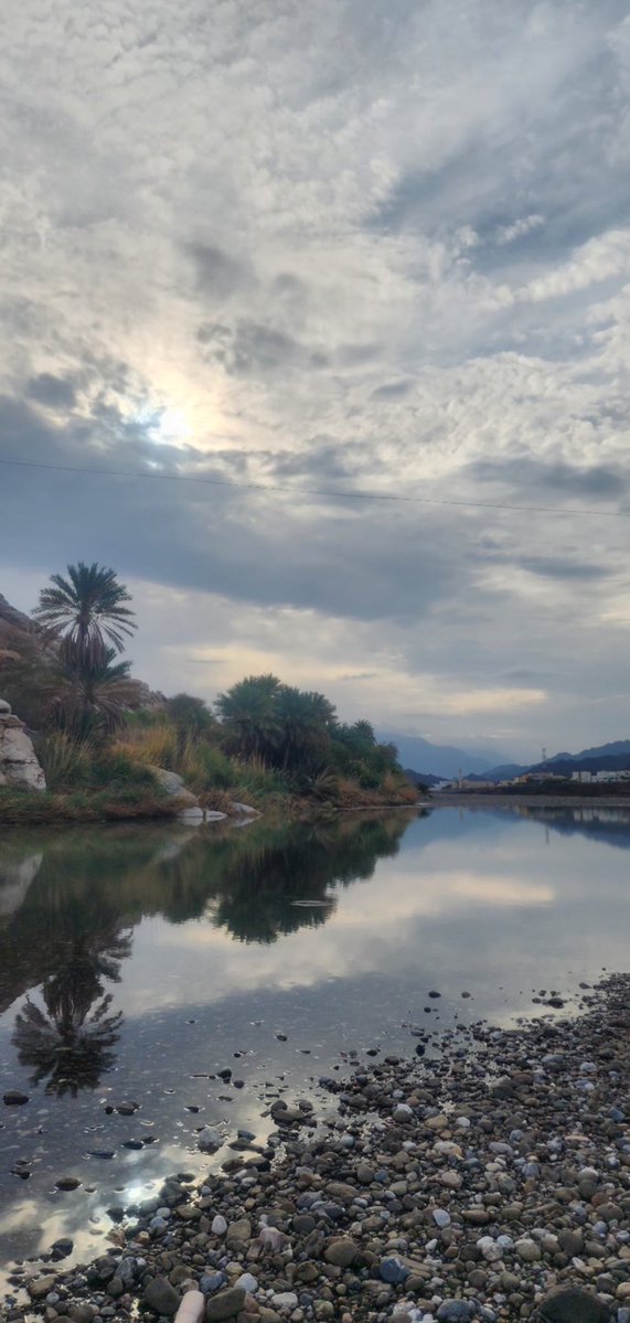 فُـرَات 🇸🇦🕊️ tweet media