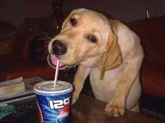 Canal FU tweet media