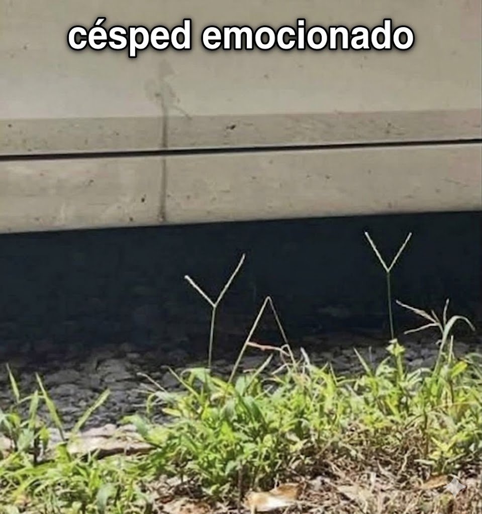 itsD3lay🐧 tweet media