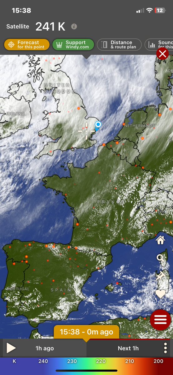 Truth Pixie tweet media