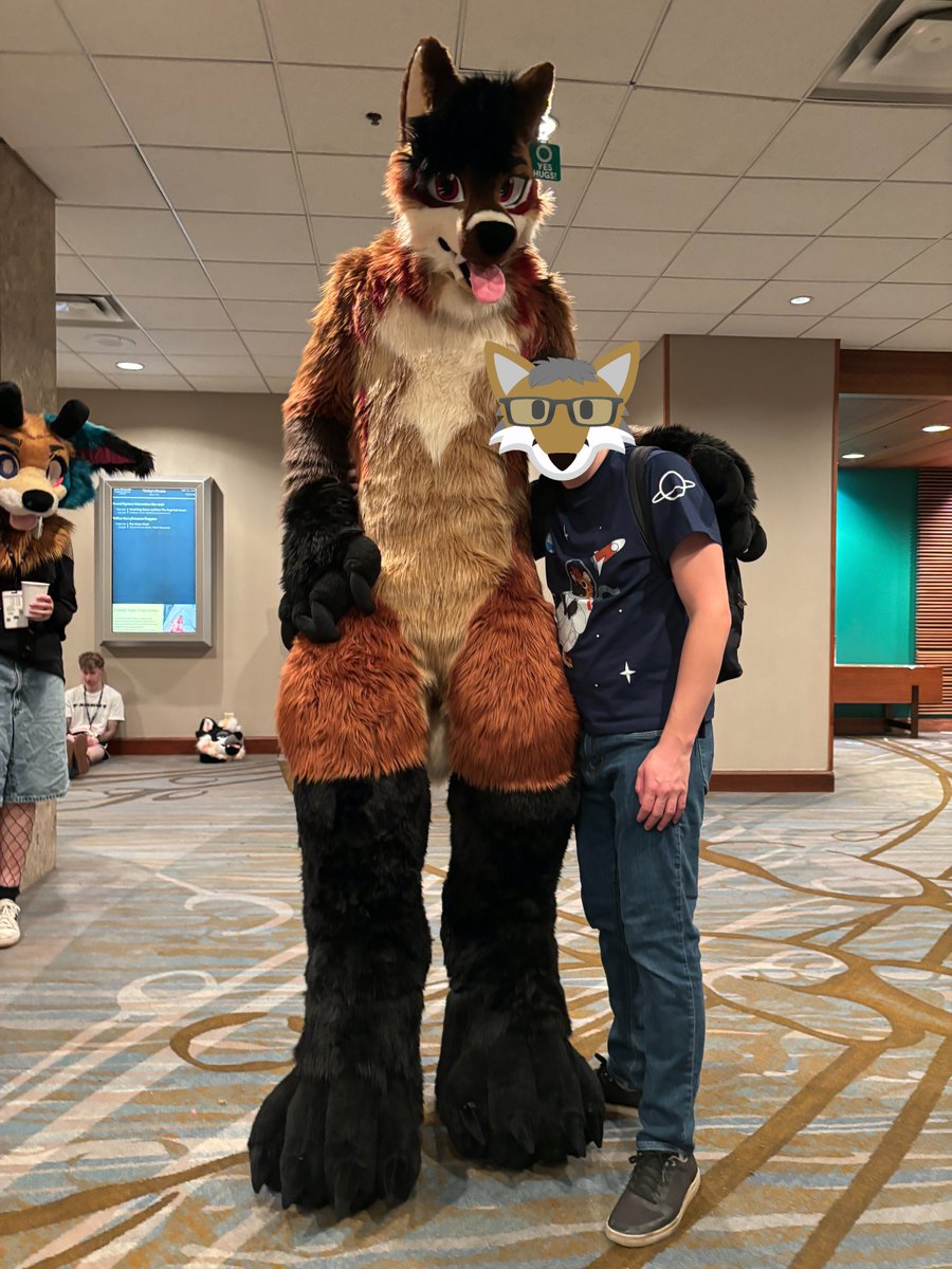 The Quick Brown Fox 🇨🇦 tweet media