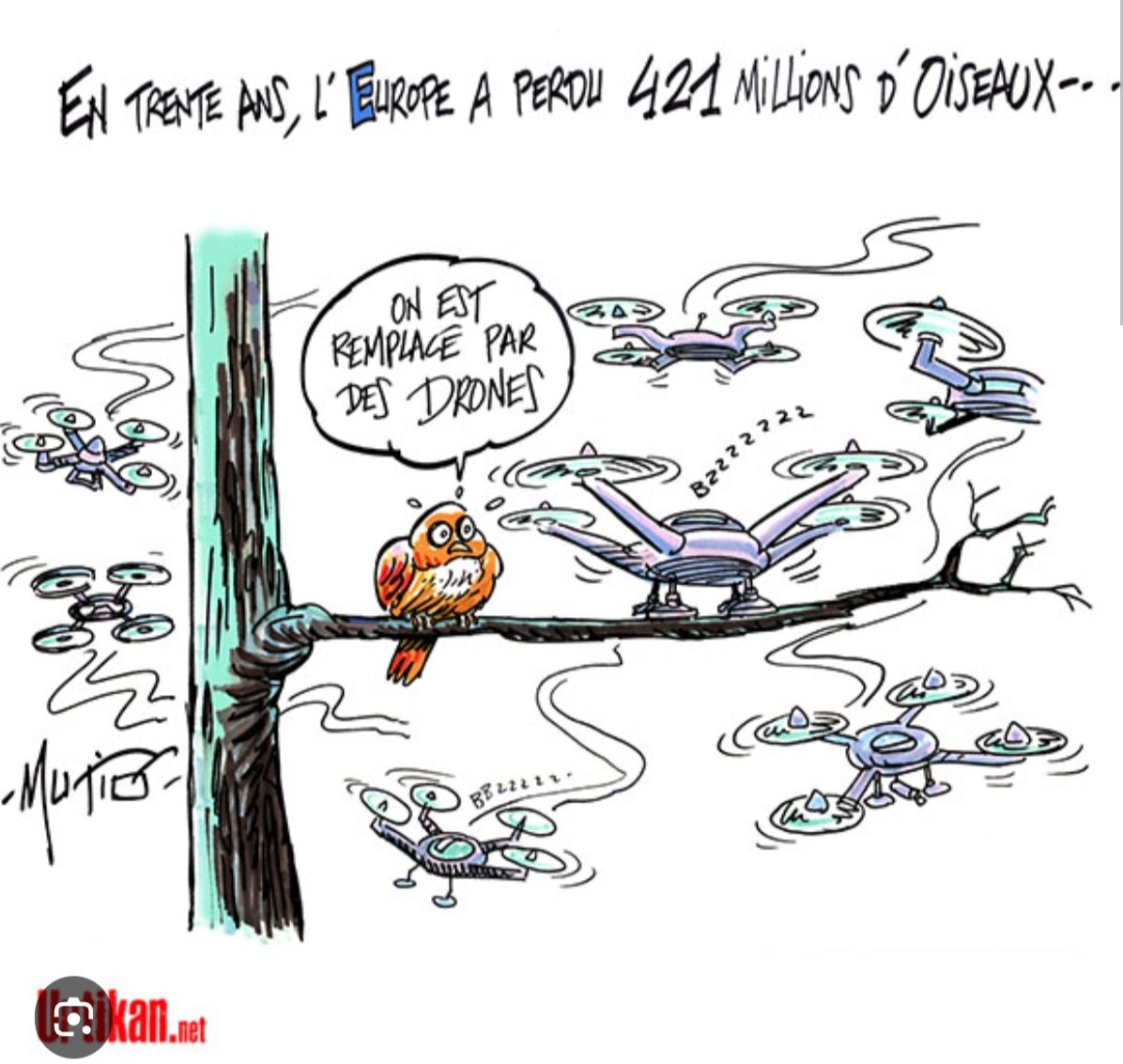 PBE 🦔🌳🐤🐾 tweet media