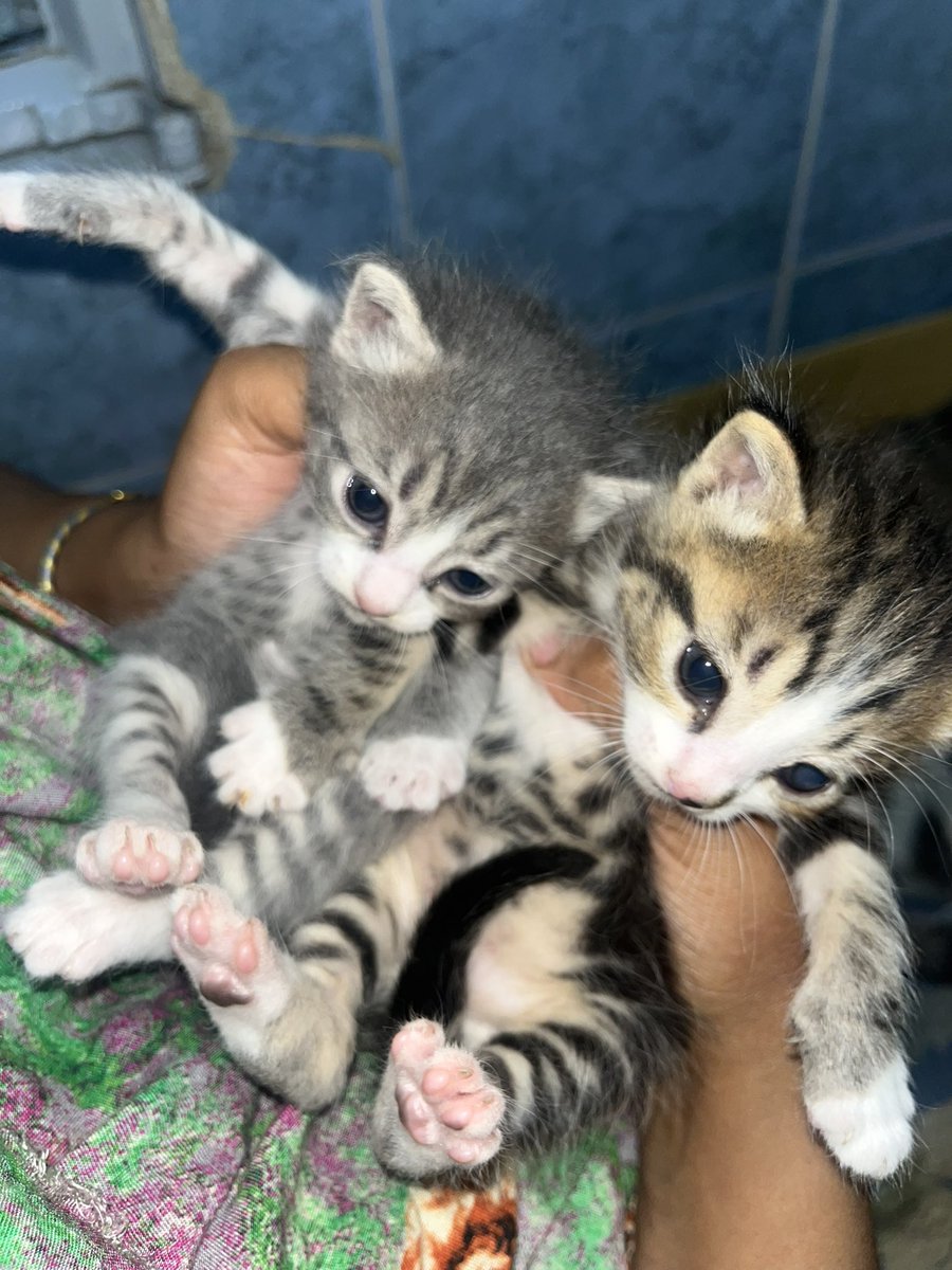 Miss Chanandler Bong #7 #8 🍉 :) tweet media