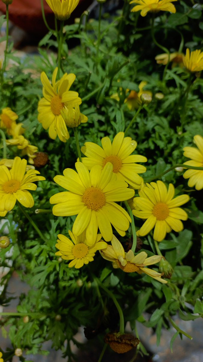 aarrrggghhhhhh!!! tweet media