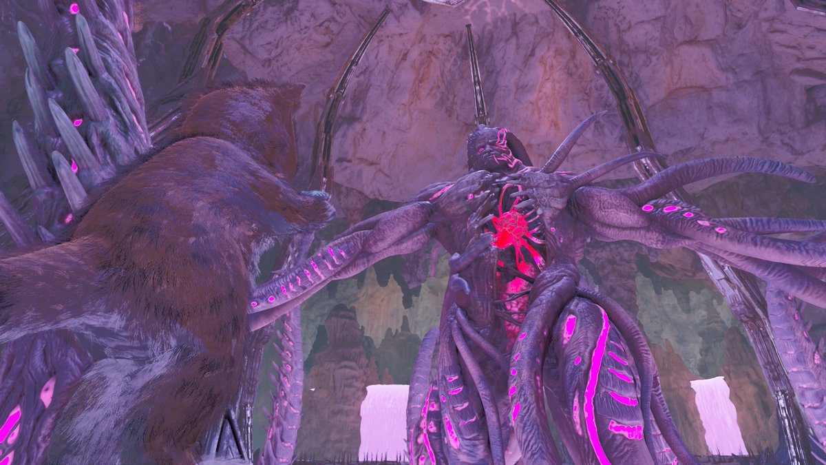 あきーさん🦔 tweet media