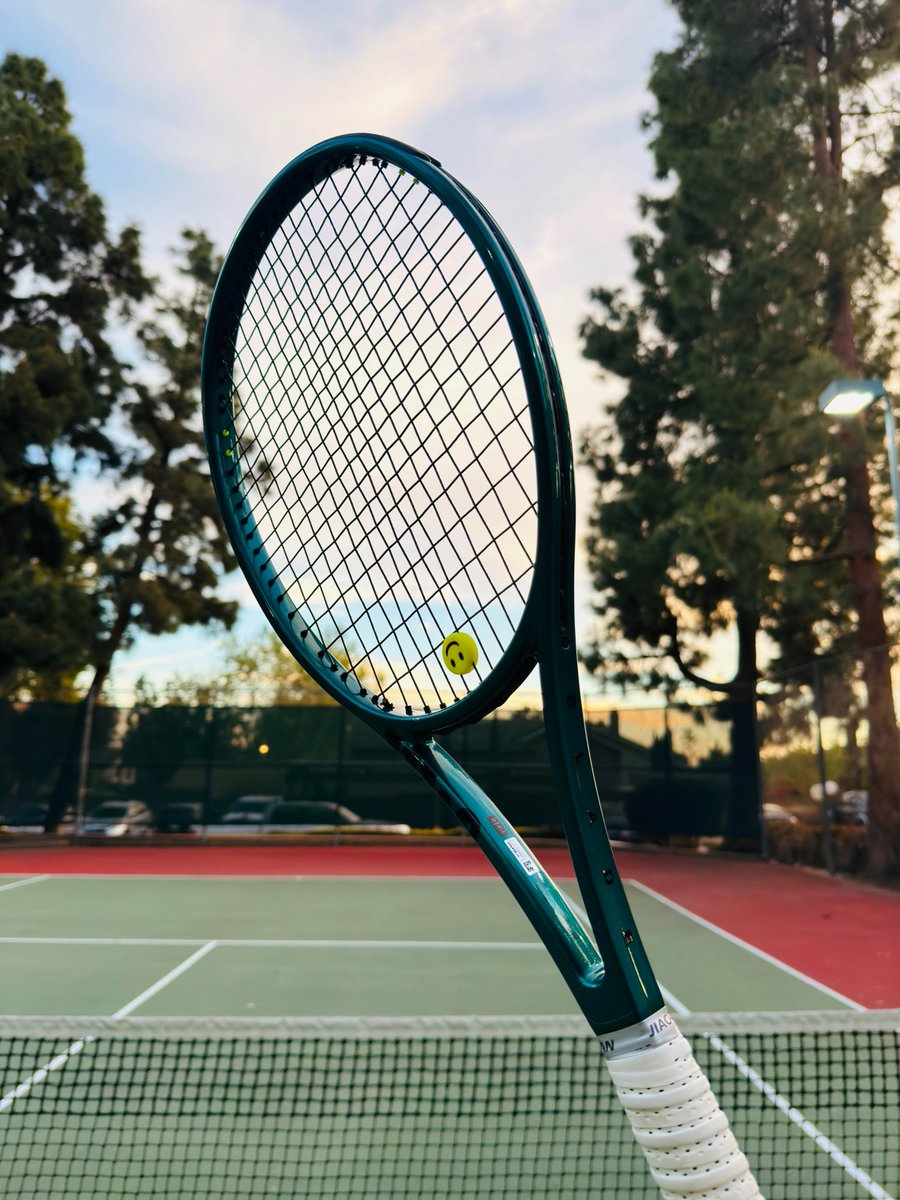 Dina Tennis tweet media