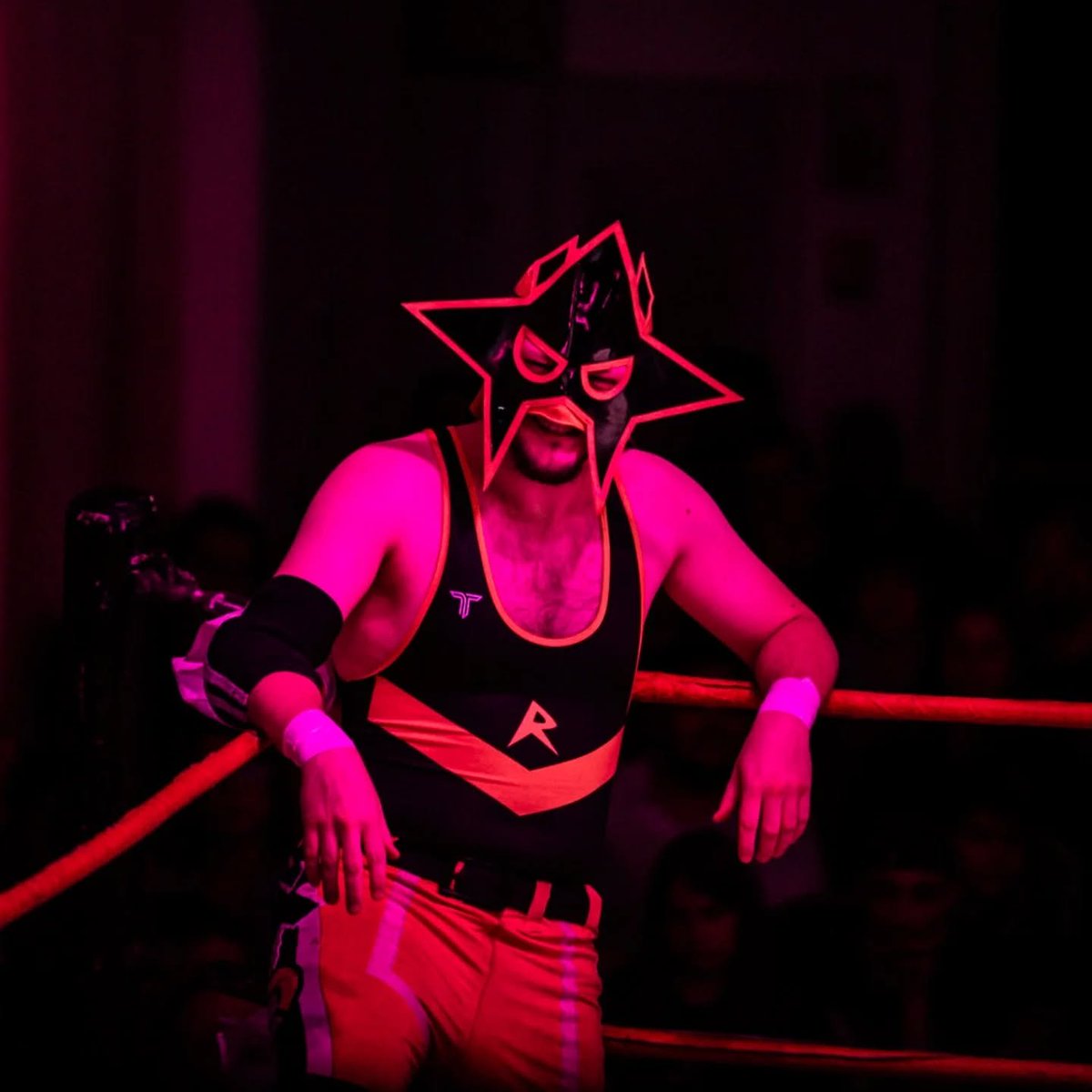 RAVAGE est LÀ tweet media