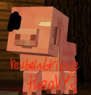 reuben minecraft tweet media